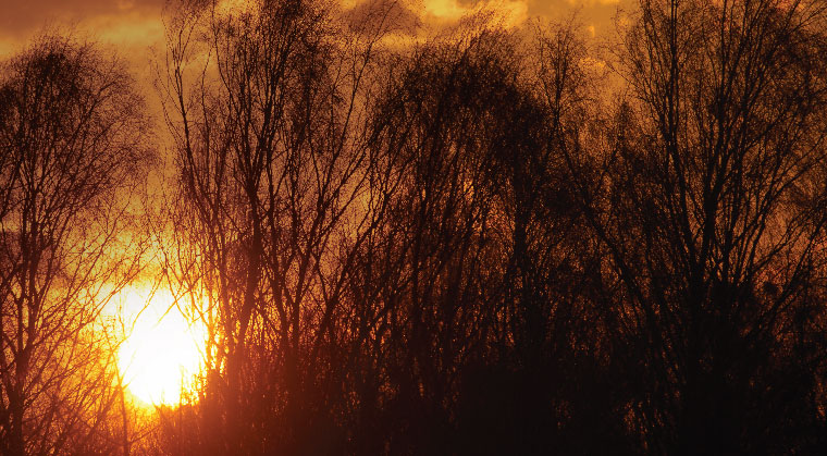The Sun Always Shines