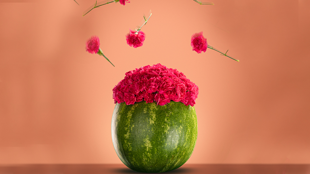 WATERMELON’S COOL 