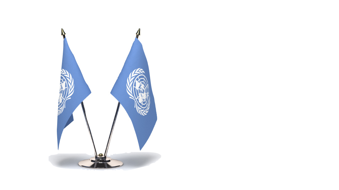In the Shoes of Nikki Haley