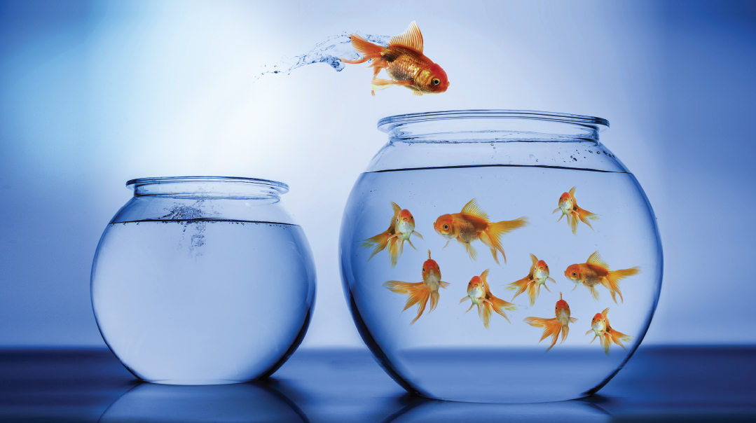 Swimming Upstream