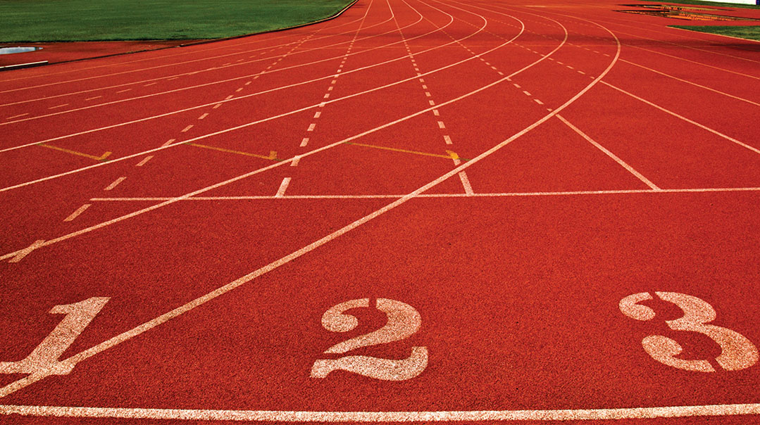The Nitty Gritty Secret of Success