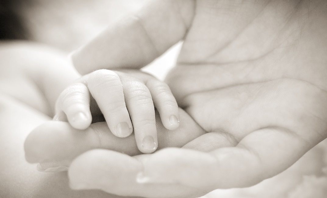 Letters to My Forever Baby