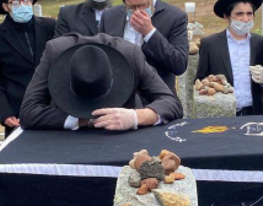 Chesed Born of Corona
