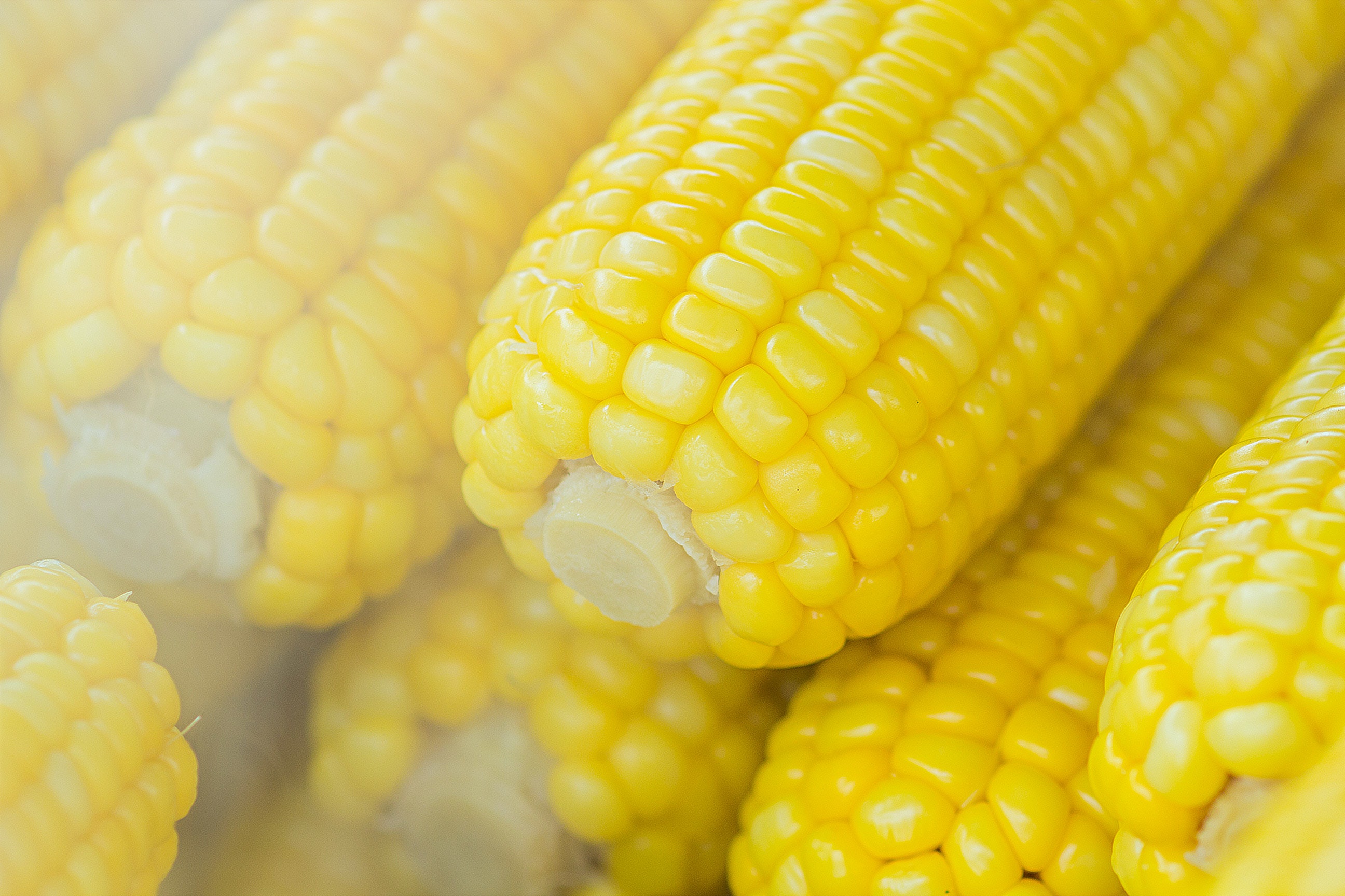 Corn on the Cob