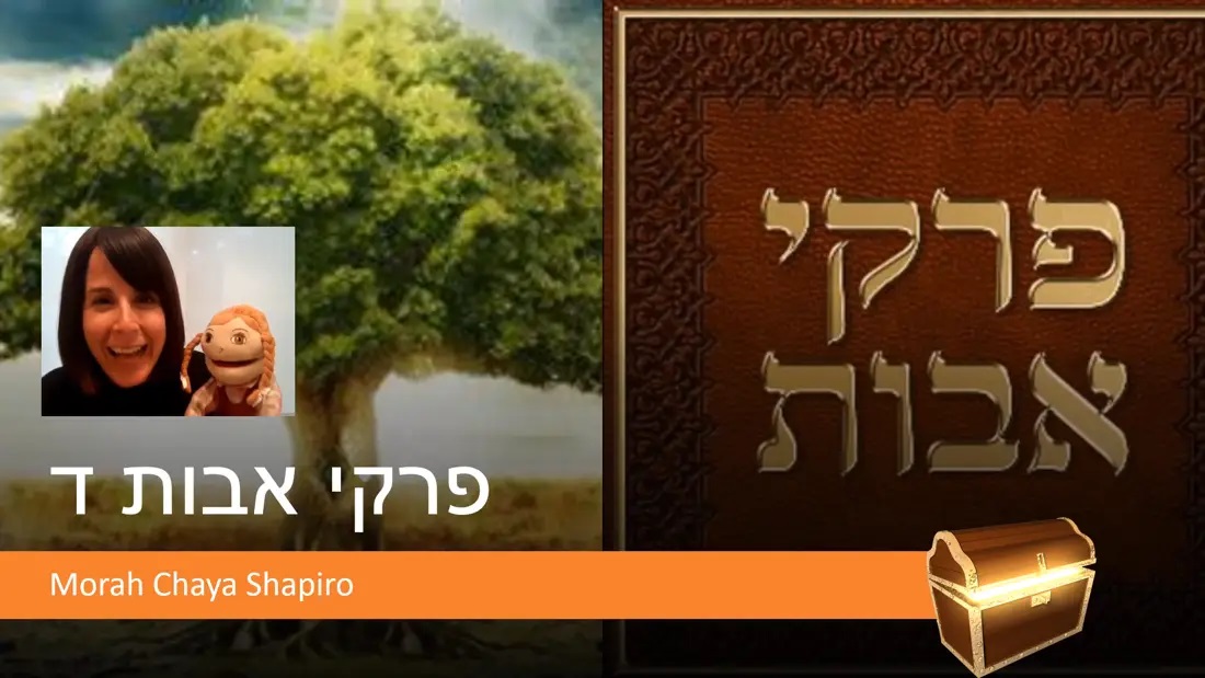 Meet Chaya Shapiro
