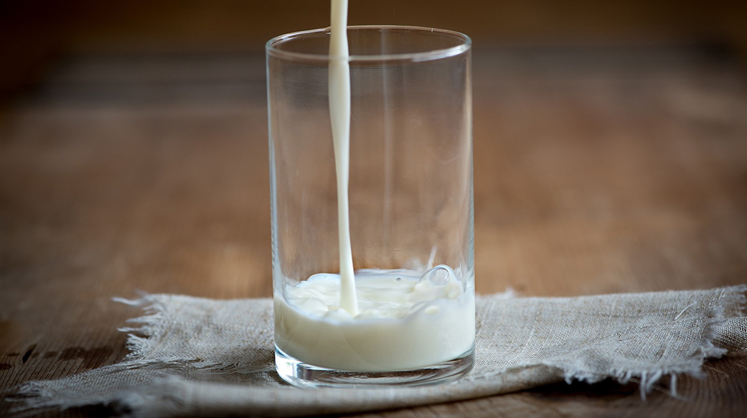 Milk