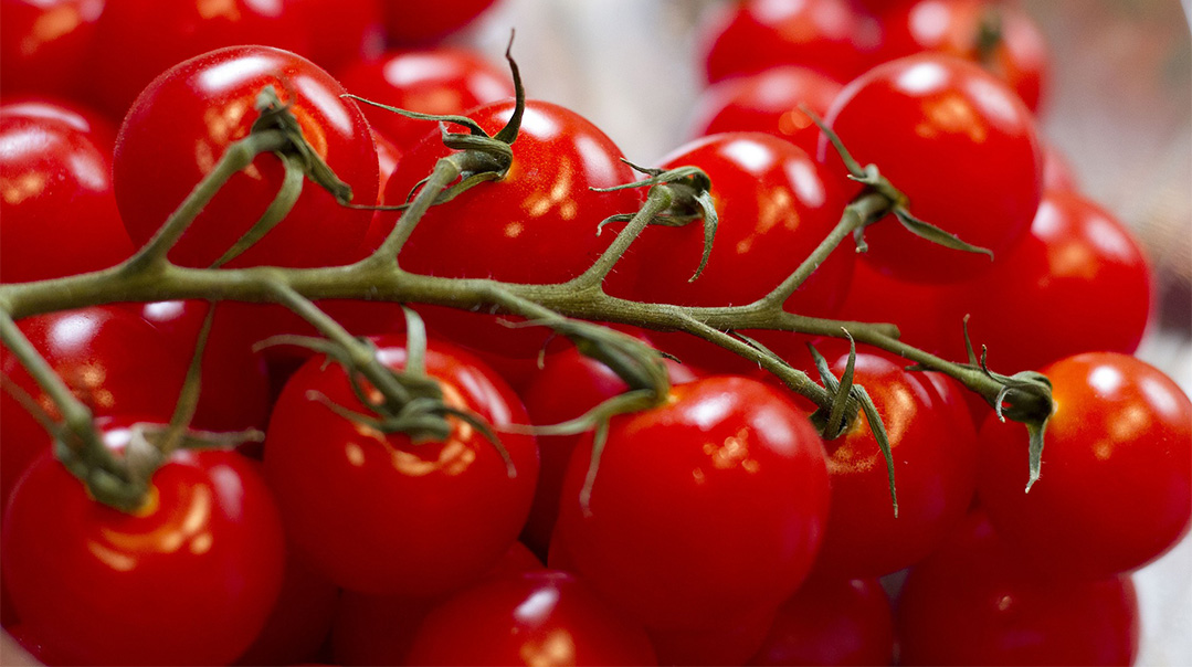 Fire-Roasted Grape Tomatoes
