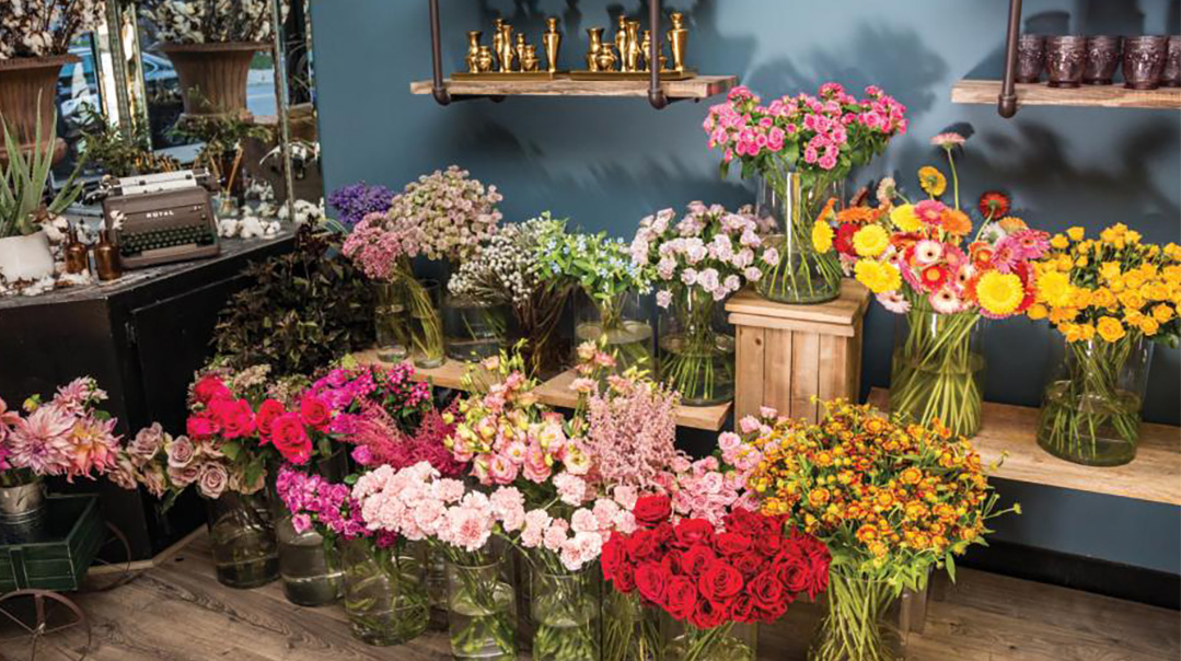Organizing Orchids...and More