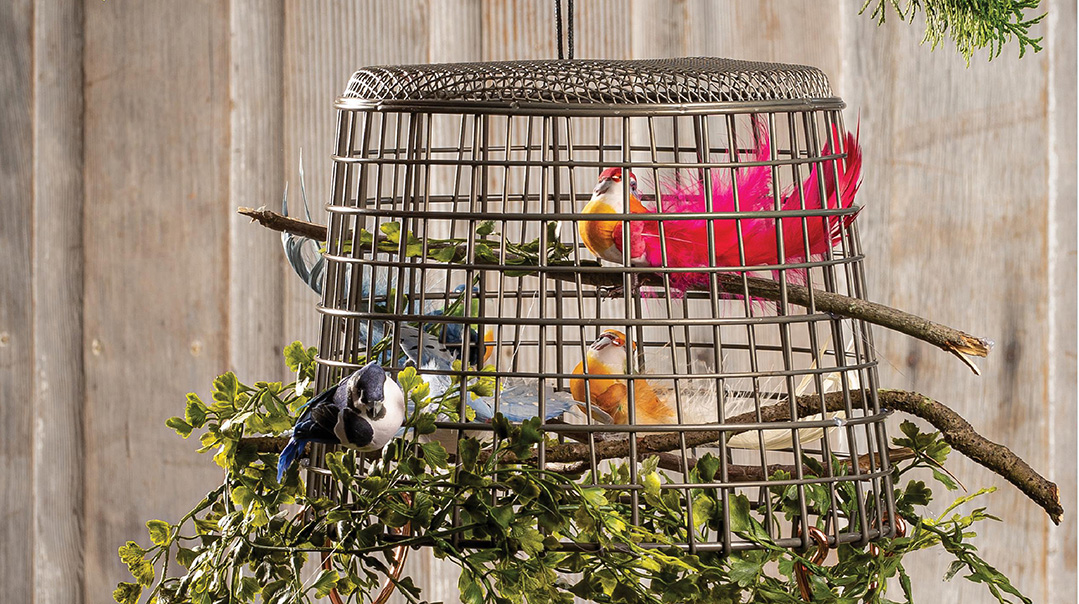 Splendor in the Succah