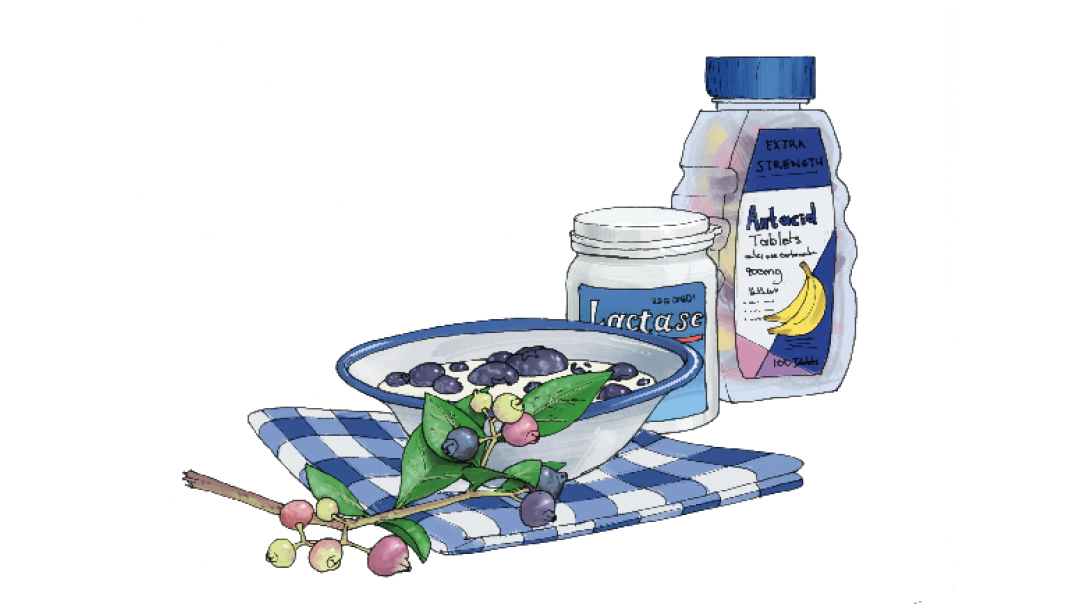 Blueberries and Cream