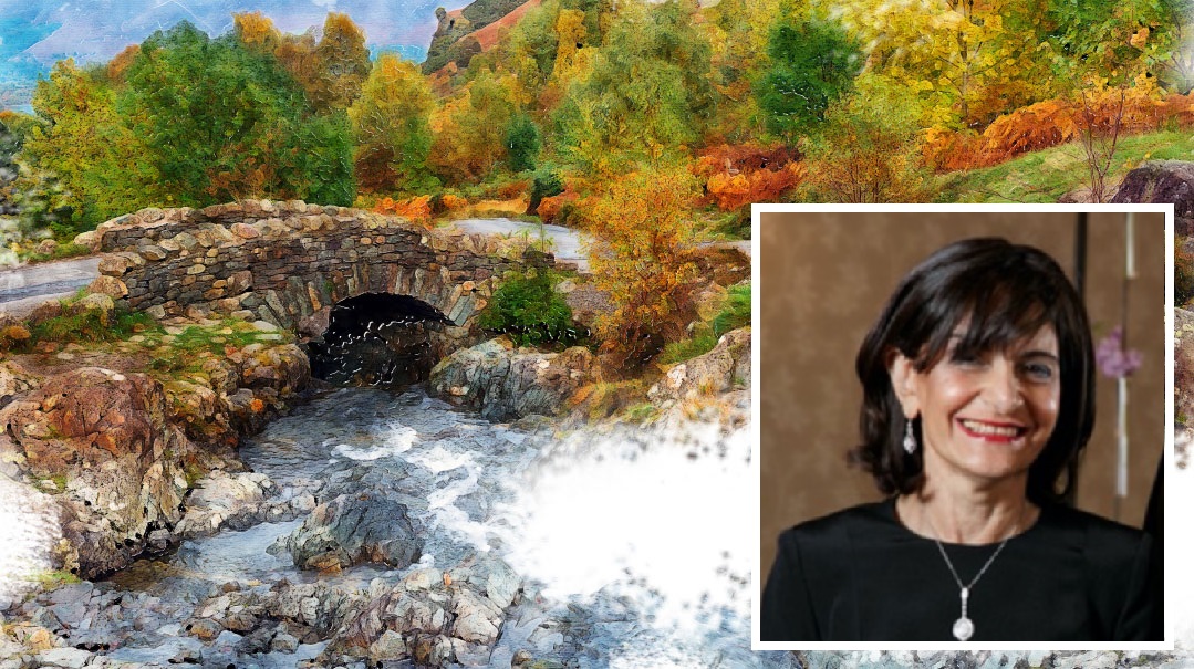 The Bridge Builder