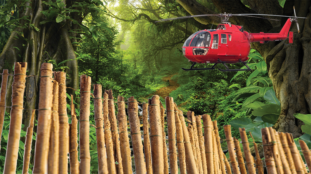 Escape from the Jungle  