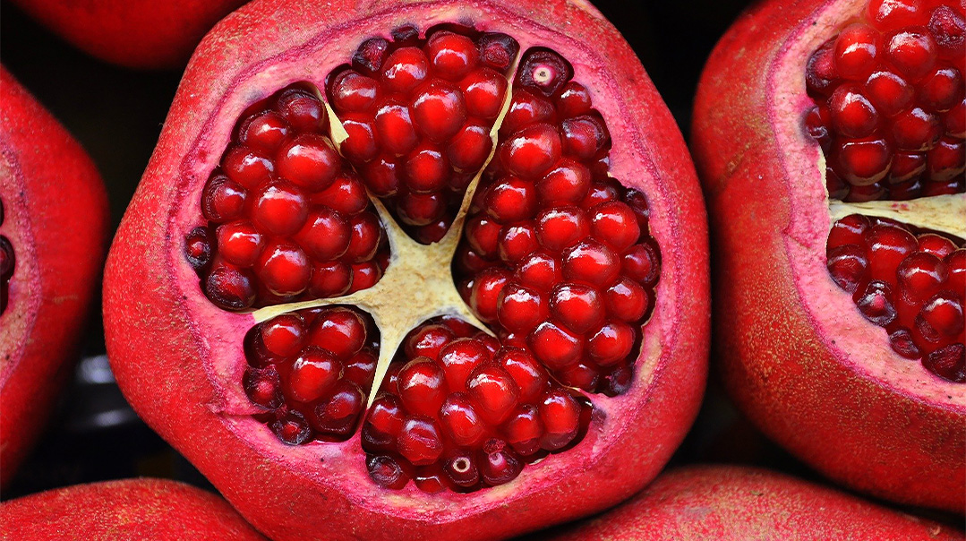 From my Table: Rosh Hashanah 5781