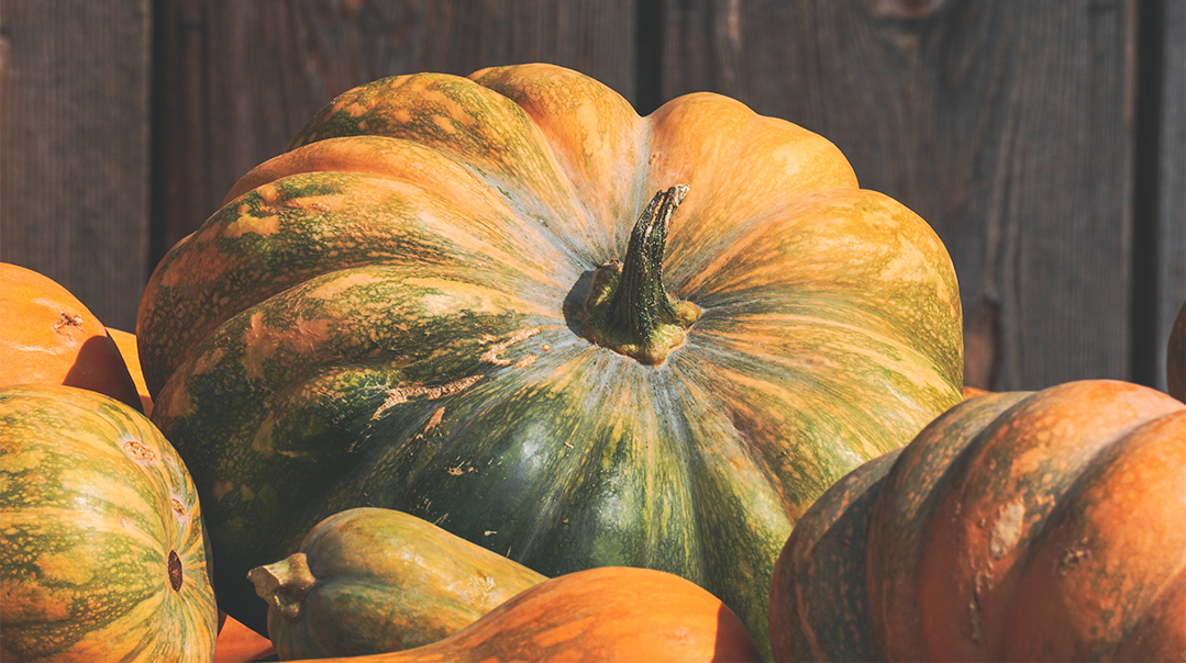 Honey-Garlic Squash