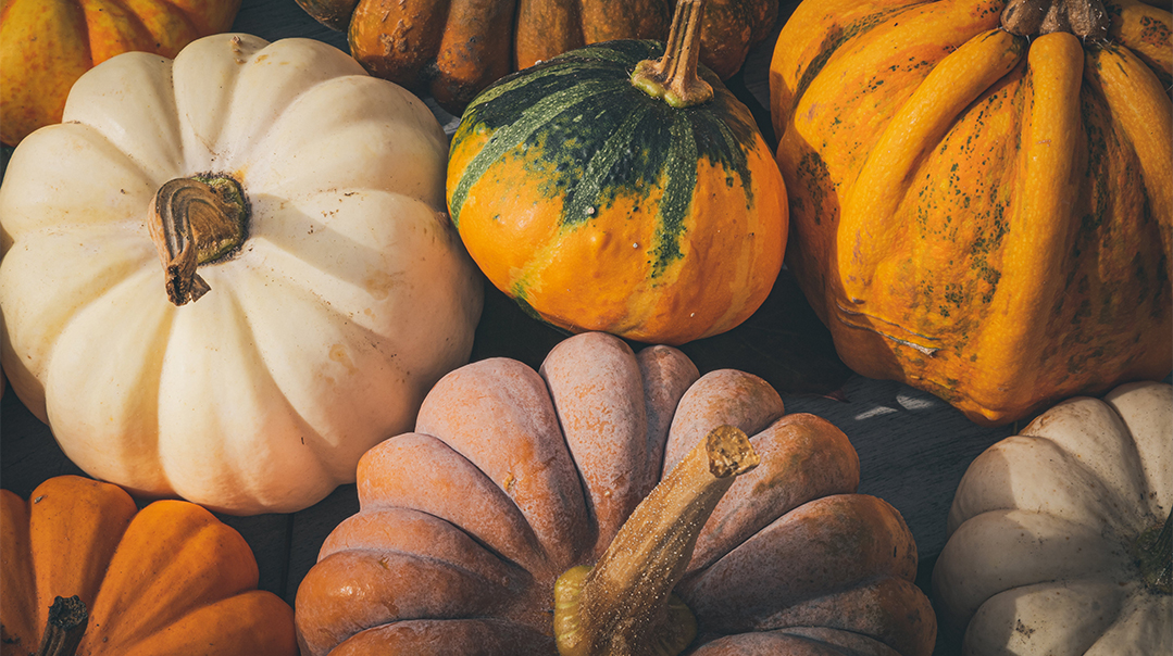 Acorn Squash
