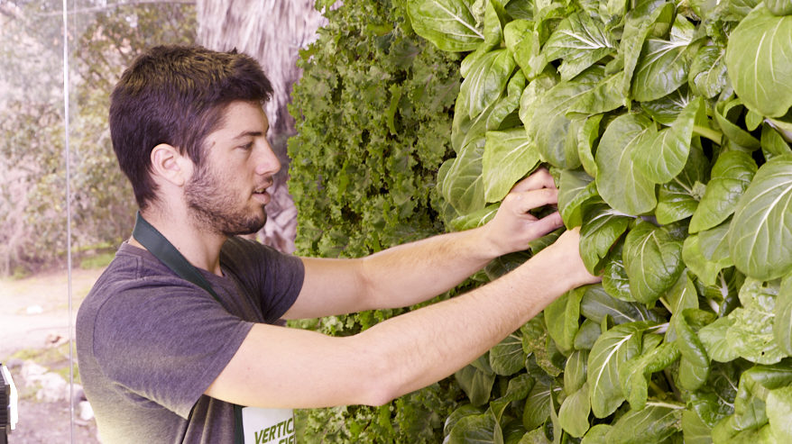 How does your garden grow?