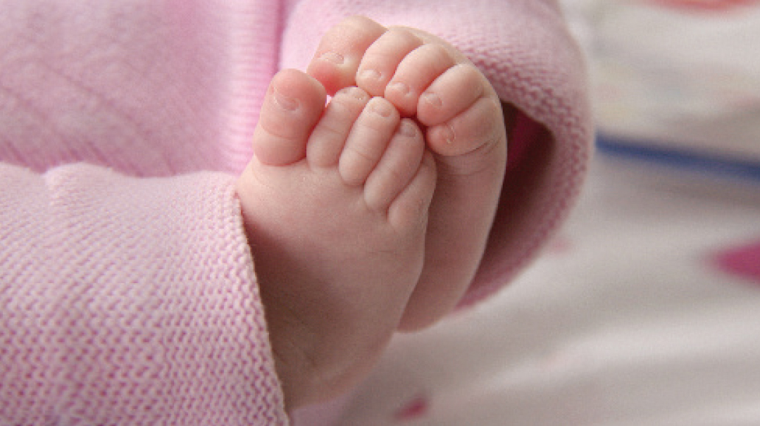 The Baby Borrower