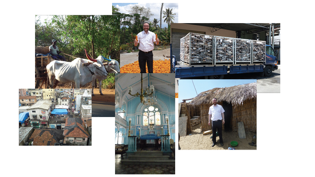 The Amazing Adventures of a Globe-Trotting, Treif-Spotting Kashrus Supervisor: Part II