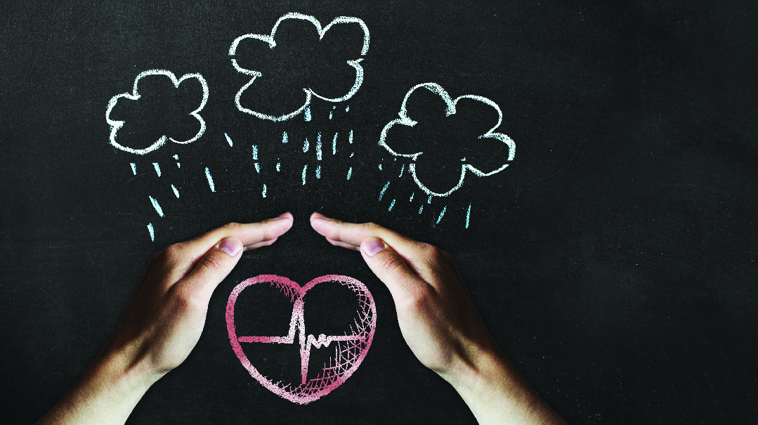 How We Weathered the Storm