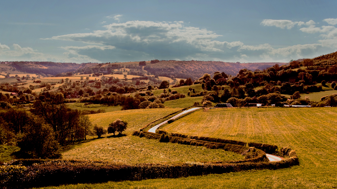 The Winding Escape