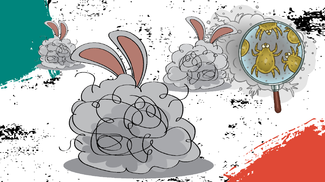 When the Dust Settles 