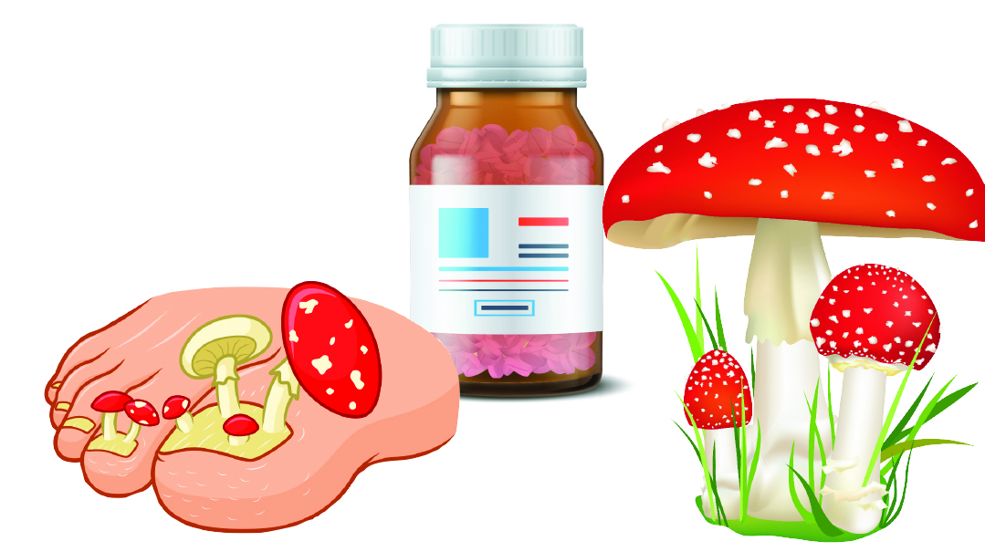 Fungus