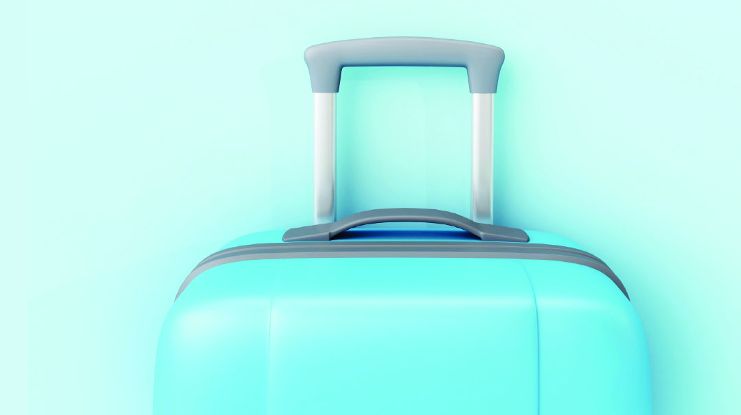 The Suitcase