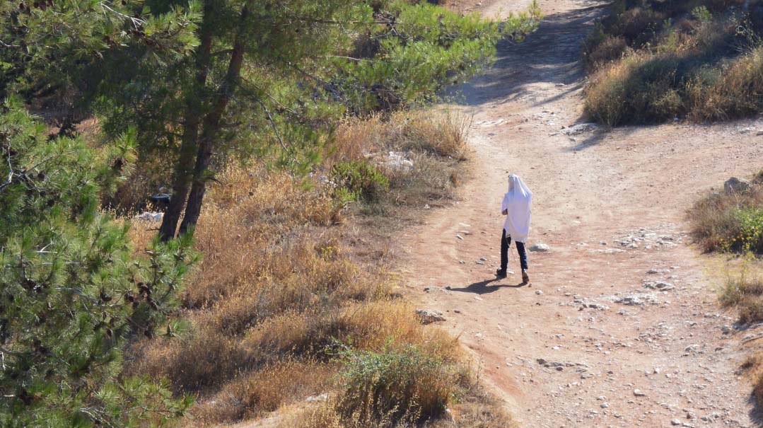 Breslov in My Backyard