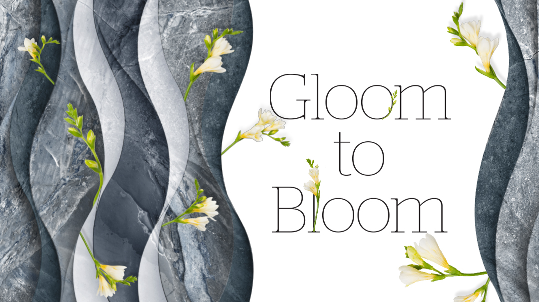 Gloom to Bloom