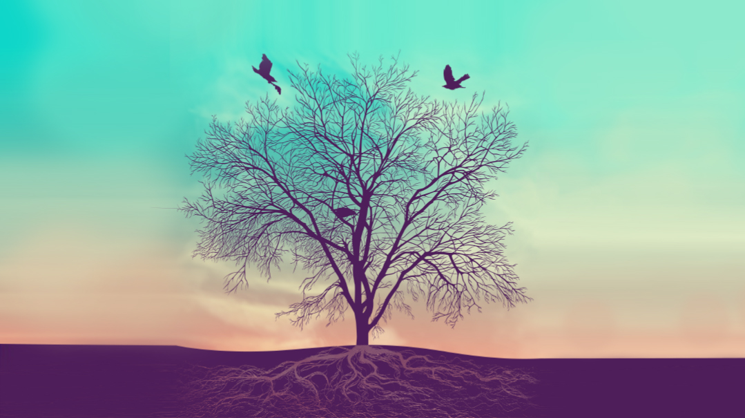 Roots and Wings   
