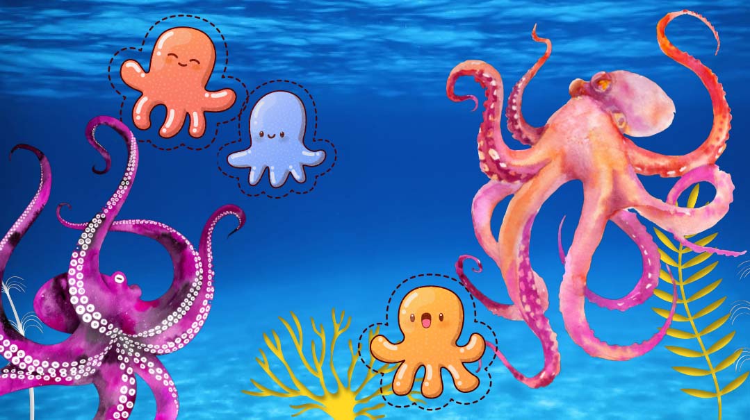 Octopus Escapades