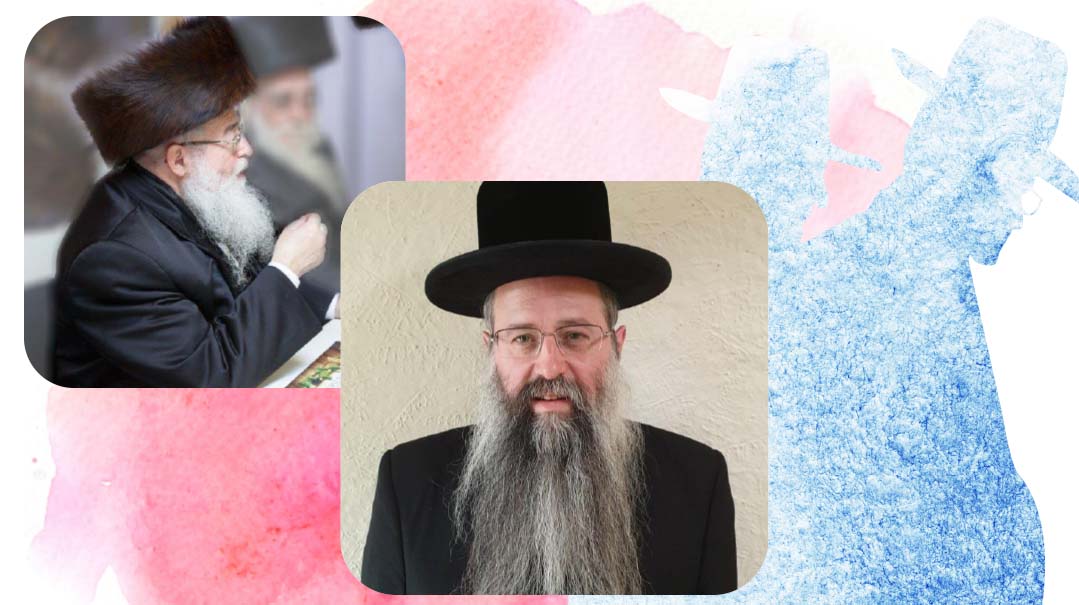 Rabbi Shulem Landau