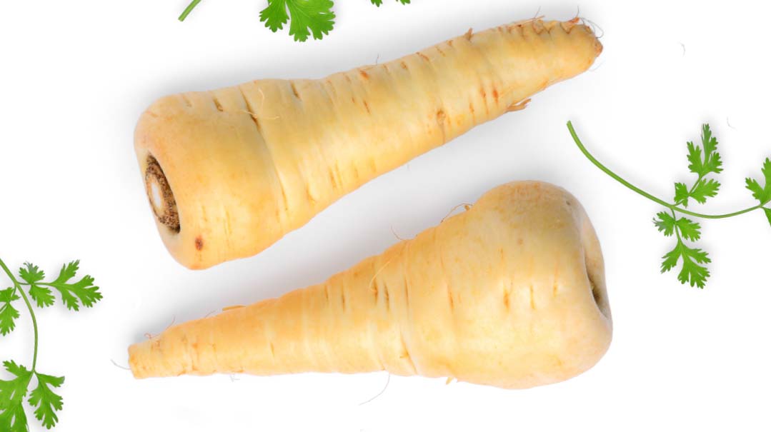 Parsnip