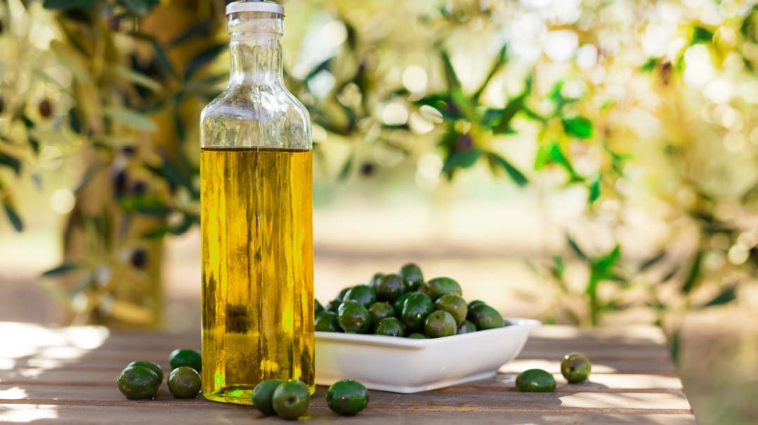 From Tree to Flame: An Olive Oil Quest   