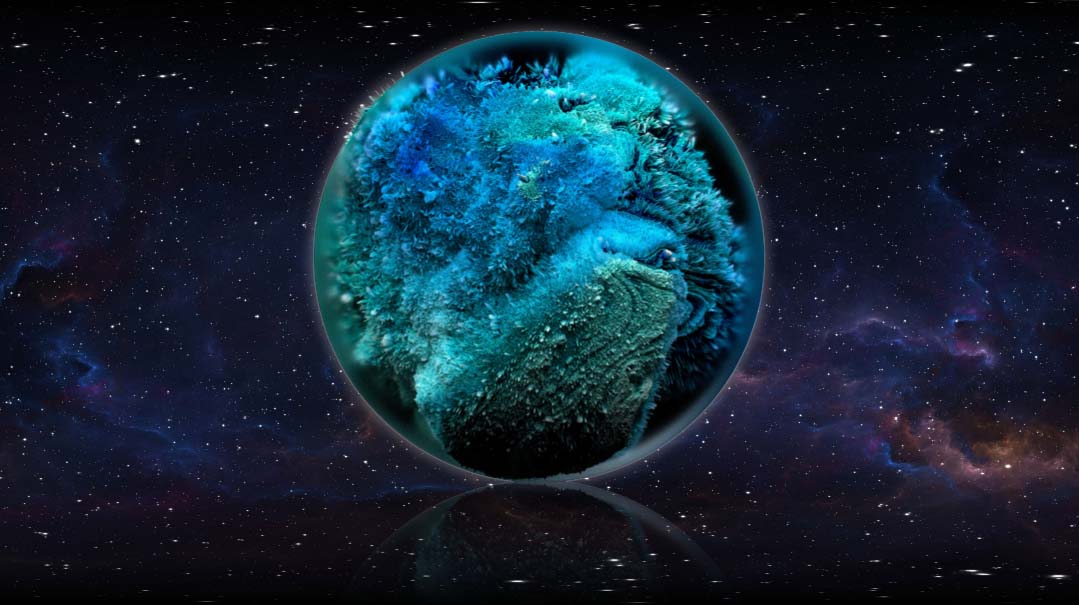 The Inside World