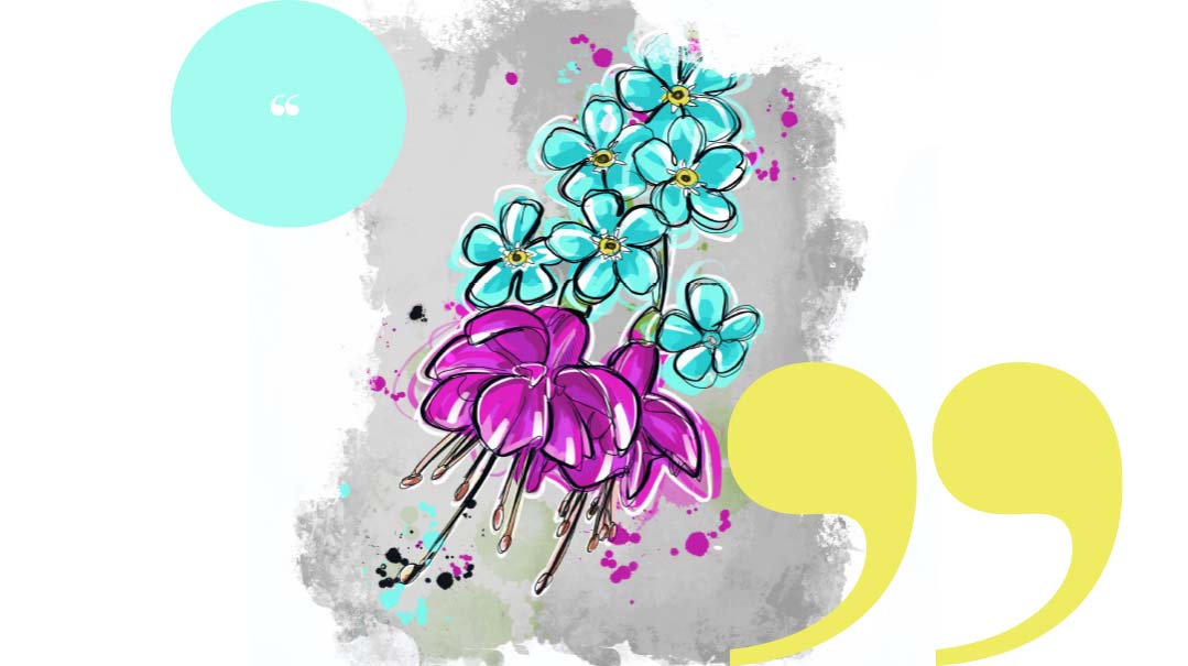 Flashback — A Splash of Color: Lifetakes , Issue 328  