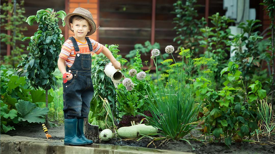 The (Inside) Scoop on Planting