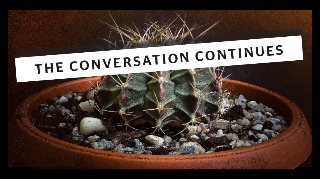 Your Mother-in-Law Isn’t a Narcissist: The Conversation Continues