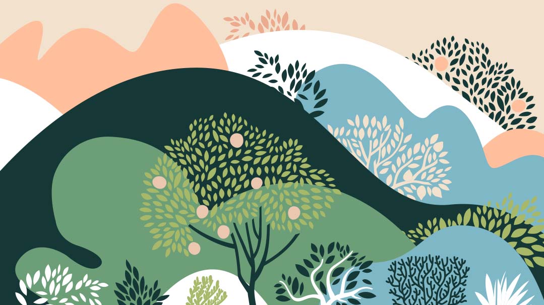 Seeds of Kindness 2022