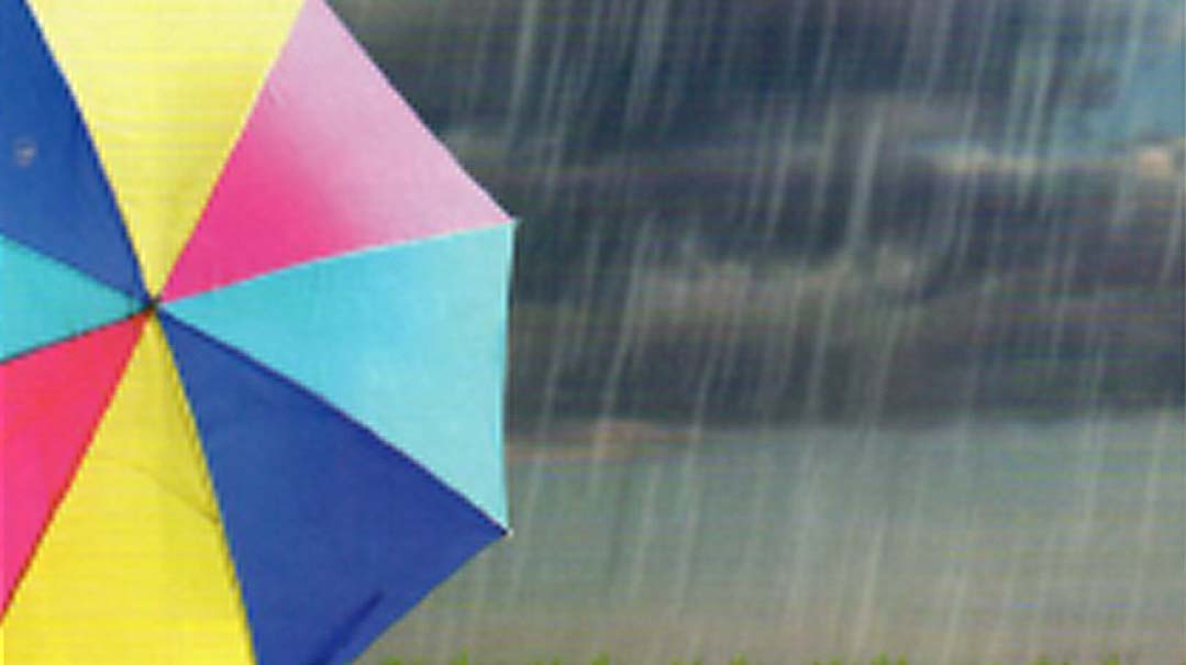A Splash of Color