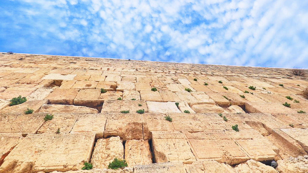Eternal Wall: Editors' Letter