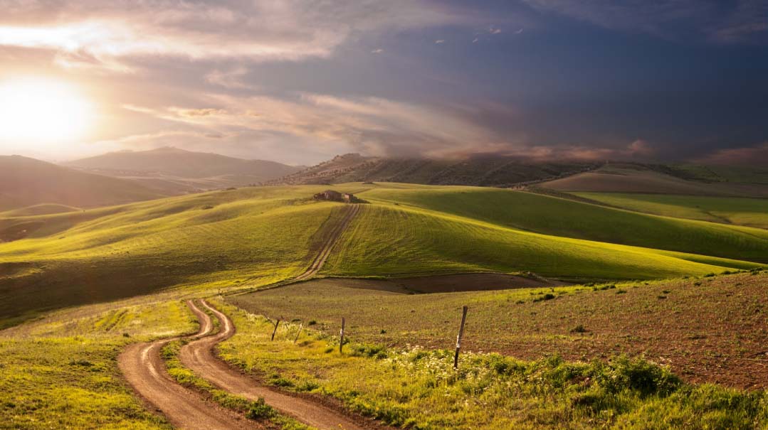 The Long Road Home   