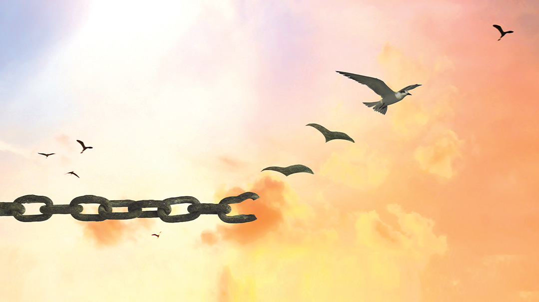 Restricted Freedom