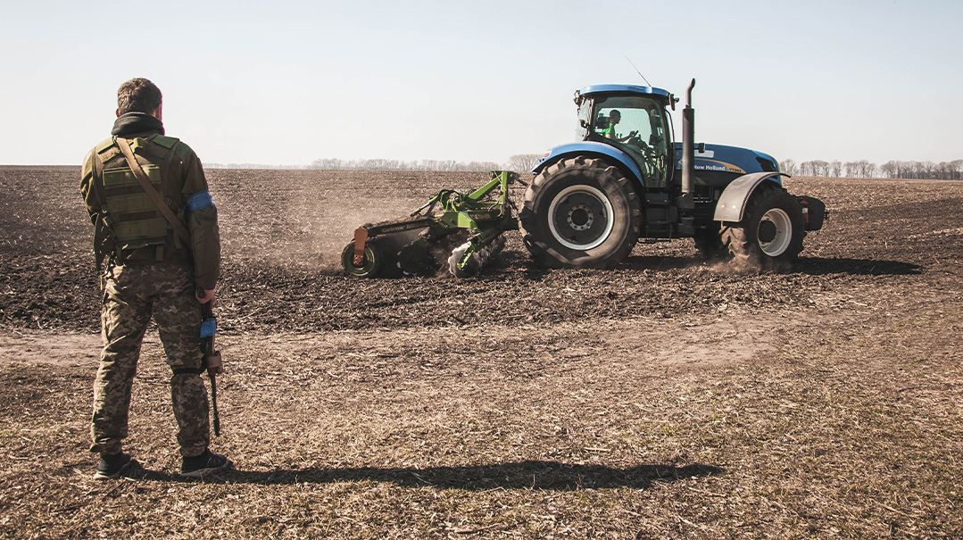 Europe's Breadbasket Is Broken