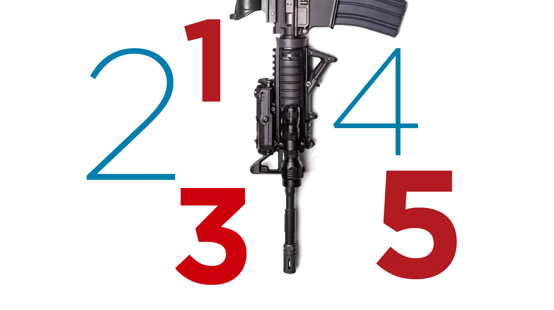 Gun Control Is Back on the Agenda    