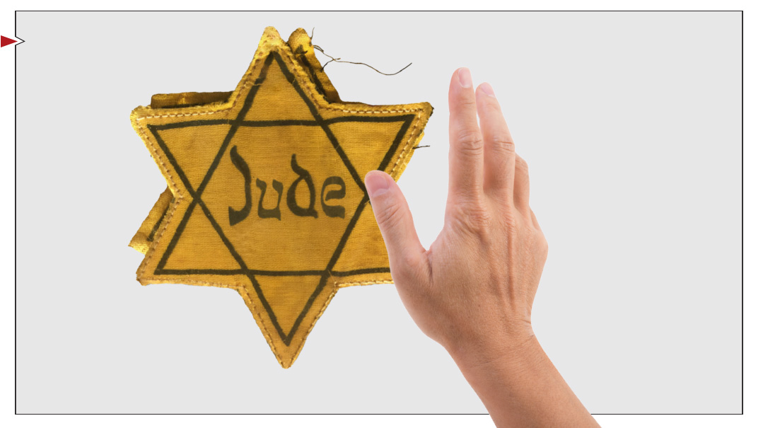Hands Off the Holocaust