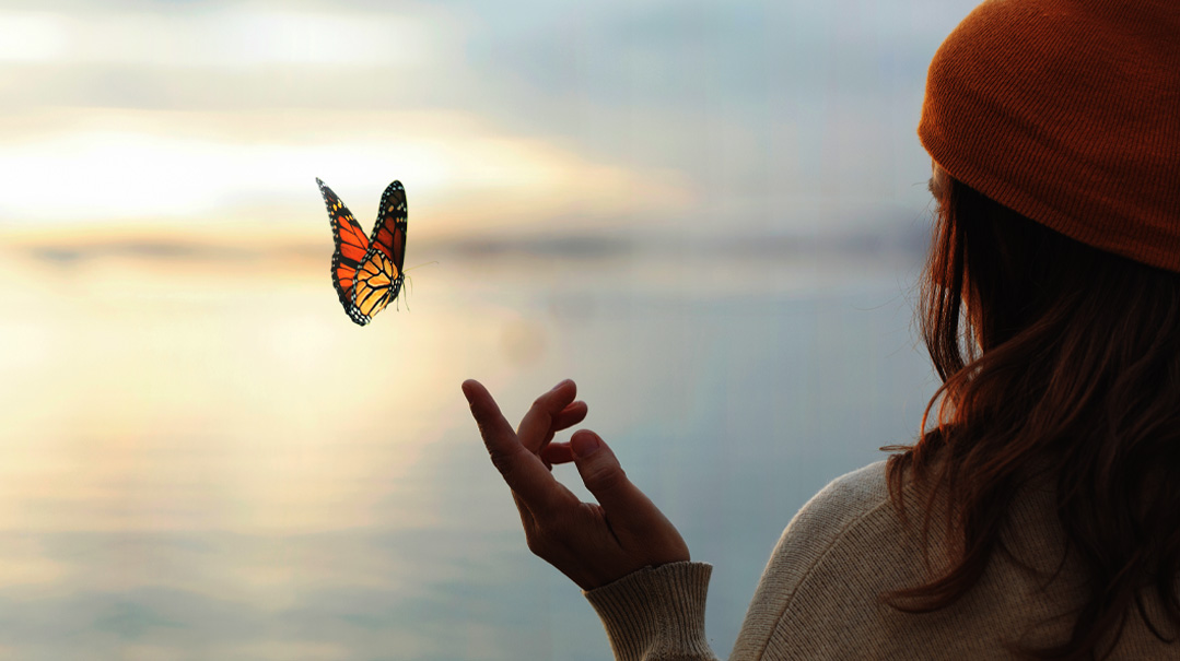 Broken Flutters