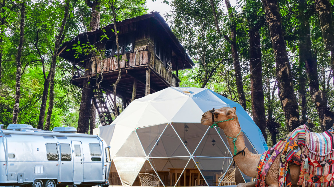 Camping in Style    