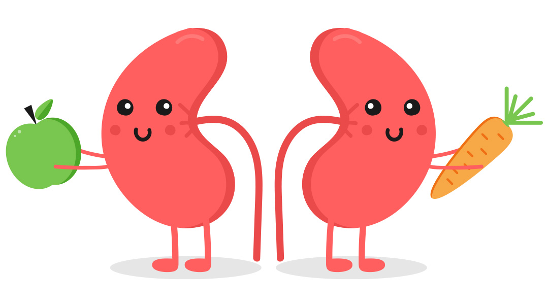 Kidneys