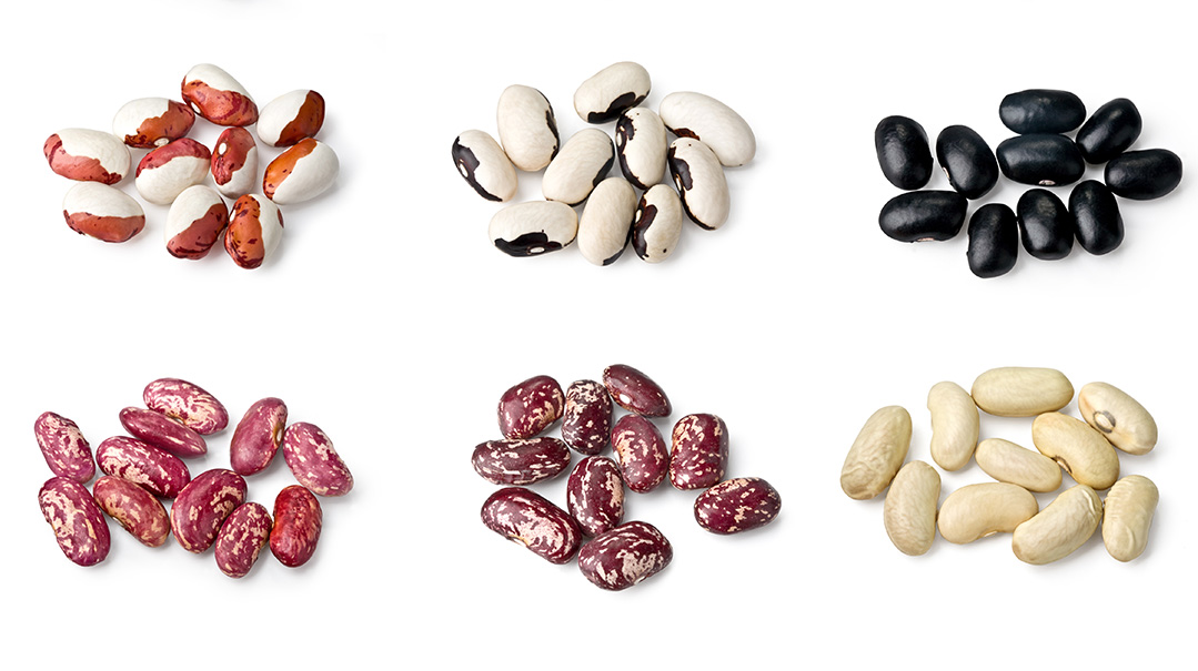 Beans